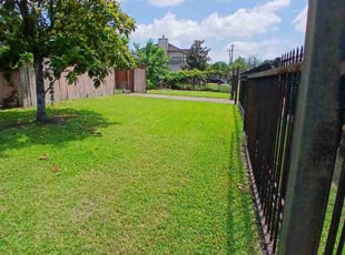 Karen G.'s lawn maintenance service result