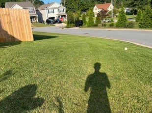 Samuel M.'s turf maintenance service result