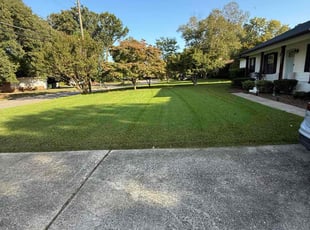 Neoma D.'s grass maintenance service result