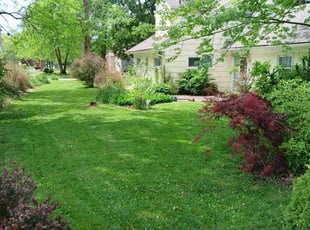 Lauren T.'s lawn care service result