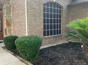 Melvin W.'s Bush Trimming service result