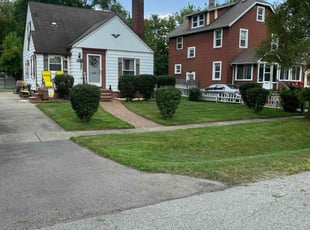Tony B.'s turf care service result