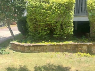 Graham L.'s Bush Trimming service result