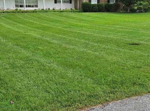 Leland D.'s grass cutting service result