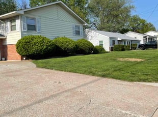 Eva D.'s lawn care service result