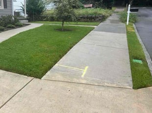 Chris M.'s lawn care service result