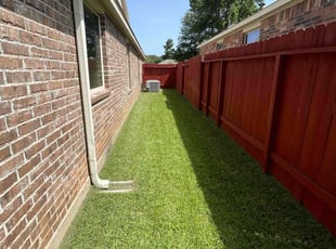 Elizabeth O.'s turf care service result