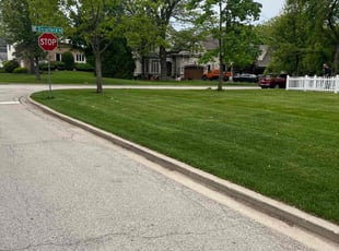 Rachel M.'s turf maintenance service result