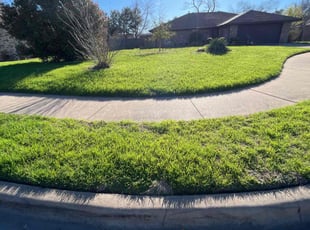 Michael F.'s grass cutting service result