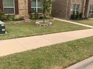 Felicia M.'s grass maintenance service result