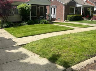 Gabriel M.'s turf care service result