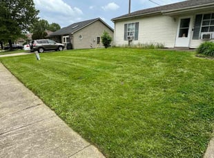 Kim H.'s lawn care service result