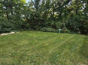 Portia B.'s lawn care services service result