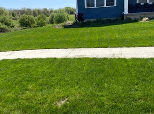 Marilyn C.'s turf maintenance service result