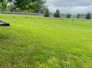 Nitz F.'s lawn maintenance service result