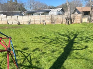 Ryan H.'s lawn maintenance service result