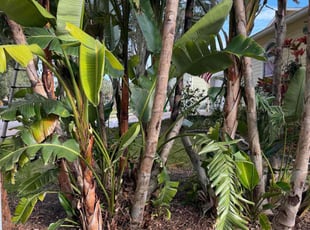 Billinda J.'s Cleanup service result