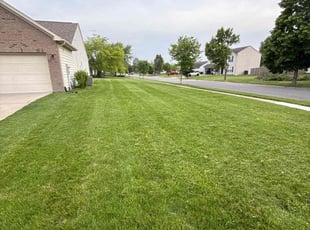 Sharon P.'s lawn care services service result