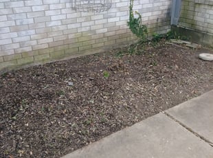 Tina D.'s Bush Trimming service result
