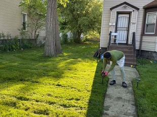 Thomas B.'s lawn care service result