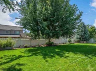 Kenneth R.'s grass maintenance service result
