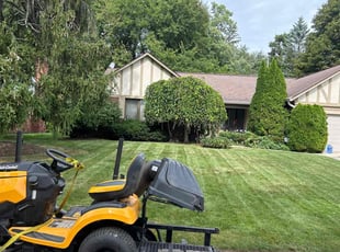 Daniel A.'s lawn care service result
