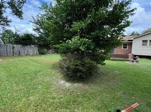 Toni C.'s grass maintenance service result