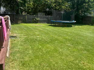 Emmie M.'s grass maintenance service result