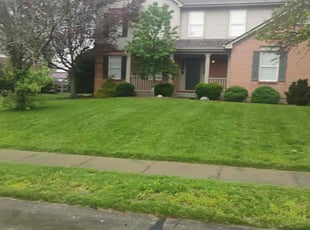 Deanna N.'s lawn maintenance service result