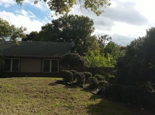 Kris H.'s Bush Trimming service result