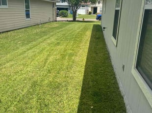 Mark F.'s grass maintenance service result