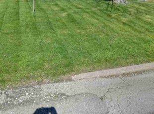 Justin O.'s lawn service service result