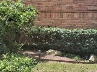 Stafford W.'s Bush Trimming service result