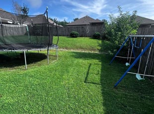 Camillie M.'s turf maintenance service result