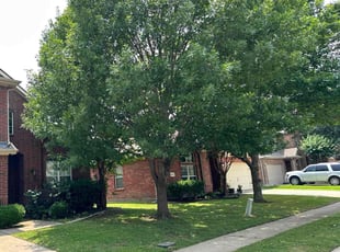 Jordan C.'s landscaping services service result