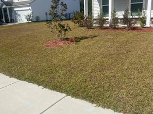 Chris M.'s lawn care service result