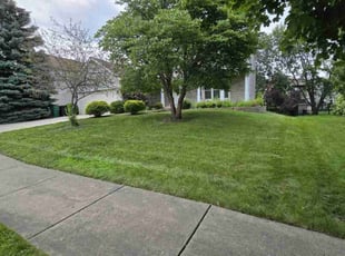 Tamara R.'s grass cutting service result