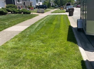 Craig V.'s grass maintenance service result