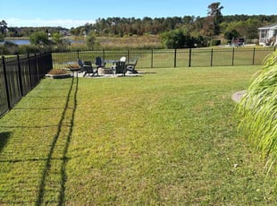 Anna M.'s grass maintenance service result