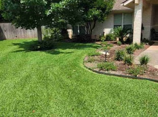 Marilyn T.'s grass cutting service result