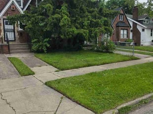 Brenda D.'s turf care service result
