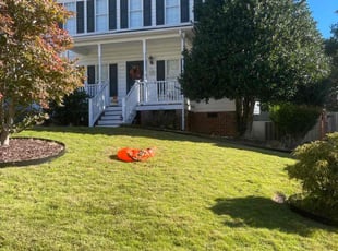 Megan H.'s grass cutting service result