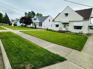 Chanyn K.'s lawn care service result