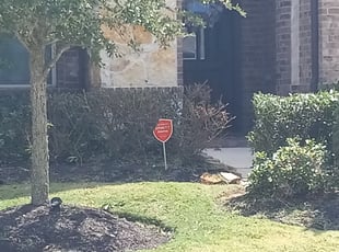 Mike A.'s Bush Trimming service result