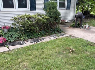 Nicole S.'s Bush Trimming service result