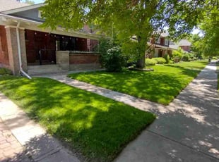 Noah D.'s grass cutting service result