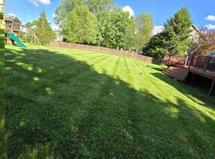 John R.'s turf care service result