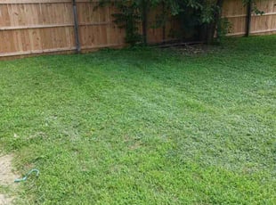 Renee J.'s turf maintenance service result