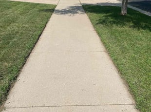 Zack R.'s lawn care service result