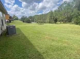 Sam S.'s grass maintenance service result